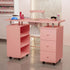 Paddie Manicure Table with Storage, dust collector