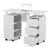 Paddie Manicure Table with Storage, dust collector