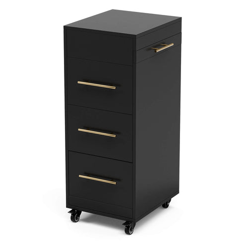 Paddie Salon Storage Cart