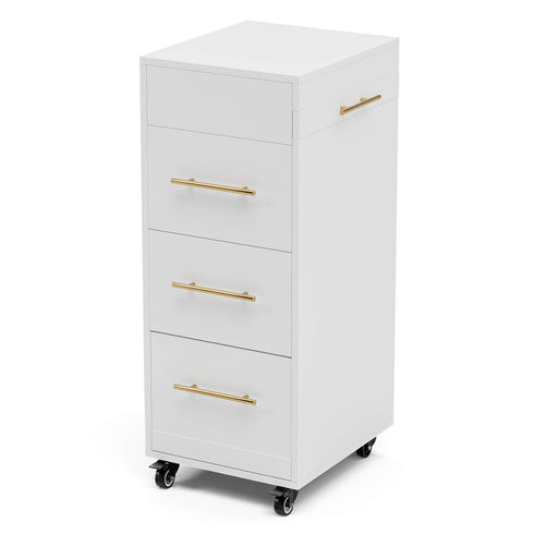 Paddie Salon Storage Cart