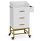 Paddie Metal Salon Cart, glass top