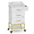 Paddie Metal Salon Cart, glass top